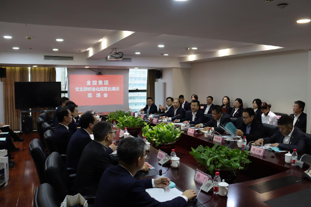 365英国上市集团召开党支部标准化规范化现场会